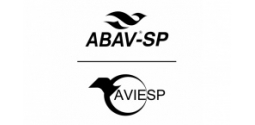 ABAV-SP