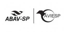 ABAV SP